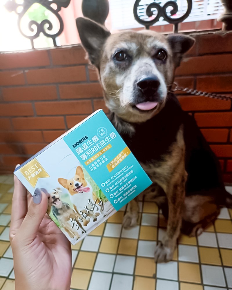 女人知己試用大隊,口碑行銷,部落客行銷,Moegis萌吉 腸道生機專利RBE益生菌,寵物益生菌,專利RBE益生元,專利蔬果酵素,小分子胜肽,藍藻粉,維持免疫力,幫助維持消化道機能,維持正常食慾,改變細菌叢生態,腸胃保健,犬貓適用